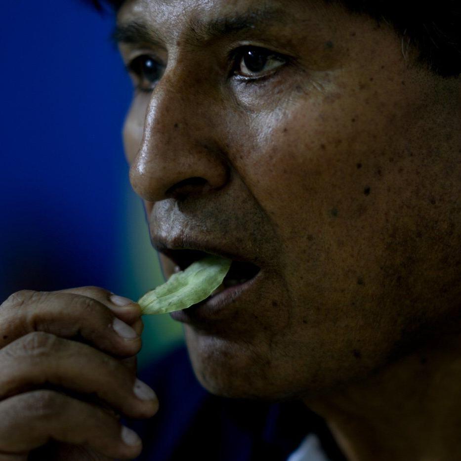 Bolivia's former leader Evo Morales seeks a political comeback from his stronghold in the tropics